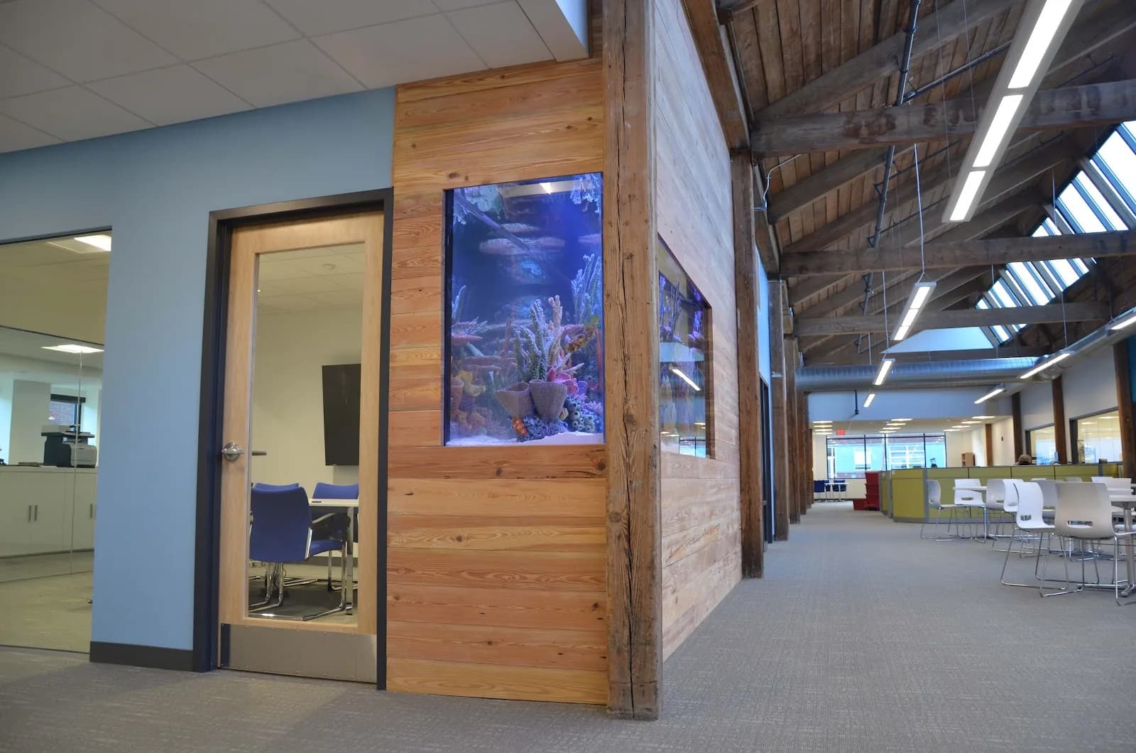 A tall blue aquarium integrated into a wood-panelled wall in an open workspace.