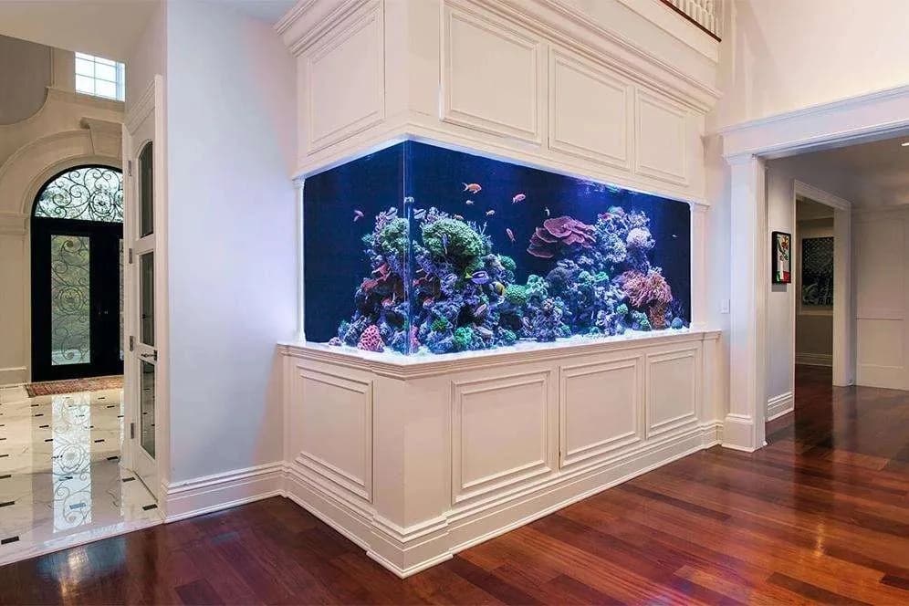 A reef aquarium wrapped around a corner in white cabinetry.