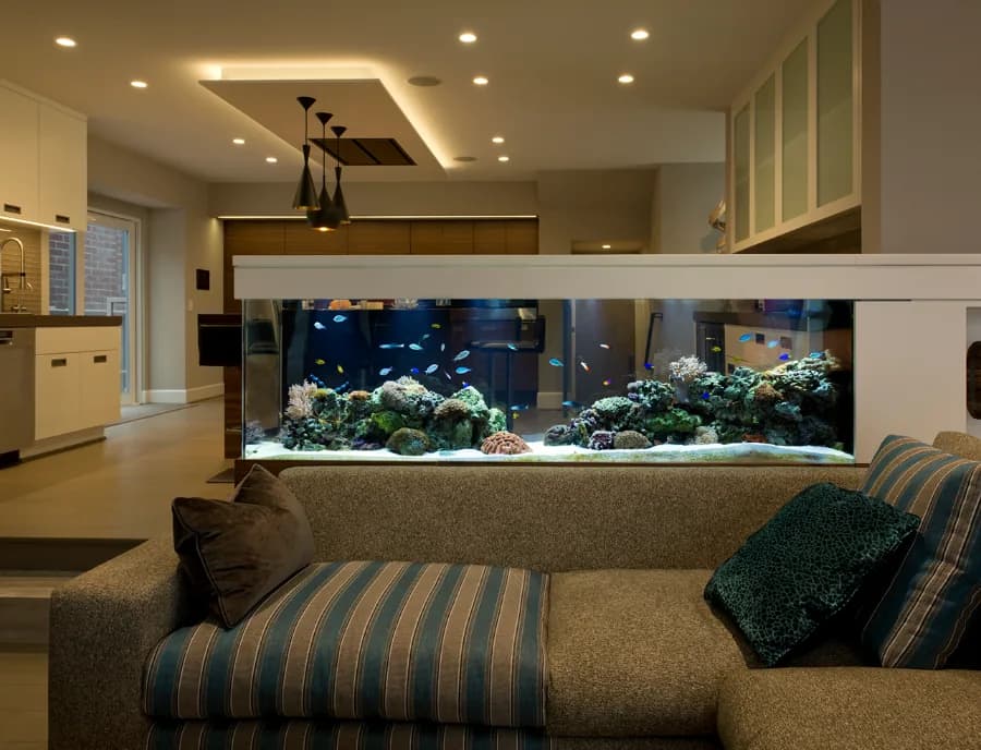 A large aquarium separating a living room from the space behind it.